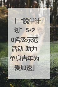 “脱单计划”5•20省级示范活动 助力单身青年为爱加速