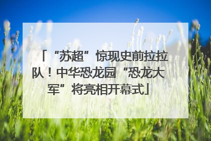 “苏超”惊现史前拉拉队！中华恐龙园“恐龙大军”将亮相开幕式