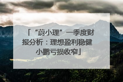 “蔚小理”一季度财报分析：理想盈利稳健 小鹏亏损收窄