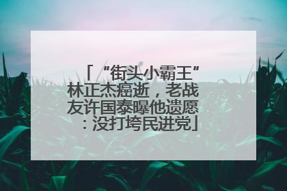 “街头小霸王”林正杰癌逝，老战友许国泰曝他遗愿：没打垮民进党