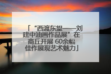 “西渡东望——刘建中油画作品展”在商丘开展 60余幅佳作展现艺术魅力