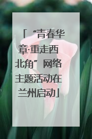 “青春华章·重走西北角”网络主题活动在兰州启动