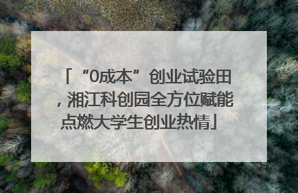 “0成本”创业试验田，湘江科创园全方位赋能点燃大学生创业热情
