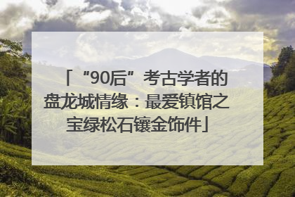 “90后”考古学者的盘龙城情缘：最爱镇馆之宝绿松石镶金饰件