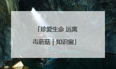 珍爱生命 远离毒蘑菇｜知识窗