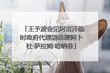 王予波会见阿富汗临时政府代理副总理阿卜杜·萨拉姆·哈纳菲