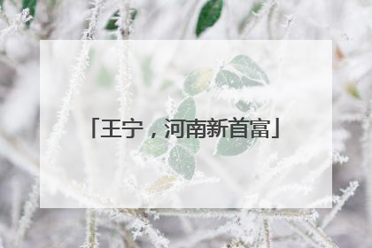 王宁，河南新首富