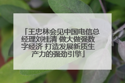 王忠林会见中国电信总经理刘桂清 做大做强数字经济 打造发展新质生产力的强劲引擎