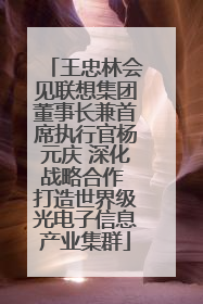 王忠林会见联想集团董事长兼首席执行官杨元庆 深化战略合作 打造世界级光电子信息产业集群