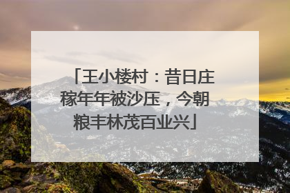 王小楼村：昔日庄稼年年被沙压，今朝粮丰林茂百业兴