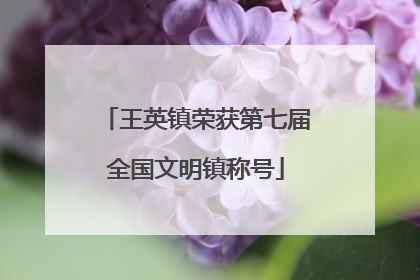 王英镇荣获第七届全国文明镇称号