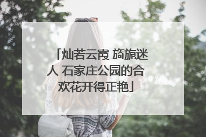 灿若云霞 旖旎迷人 石家庄公园的合欢花开得正艳
