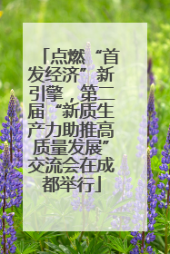 点燃“首发经济”新引擎，第二届“新质生产力助推高质量发展”交流会在成都举行