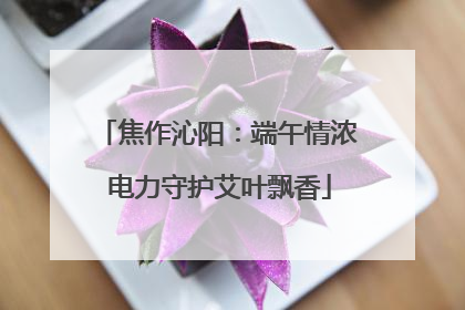 焦作沁阳：端午情浓 电力守护艾叶飘香