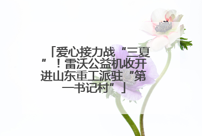 爱心接力战“三夏”！雷沃公益机收开进山东重工派驻“第一书记村”