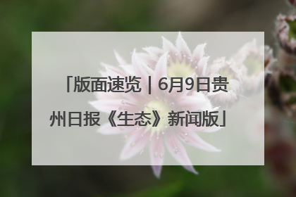 版面速览｜6月9日贵州日报《生态》新闻版