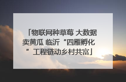 物联网种草莓 大数据卖黄瓜 临沂“四雁孵化”工程链动乡村共富