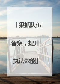 狠抓队伍督察，提升执法效能