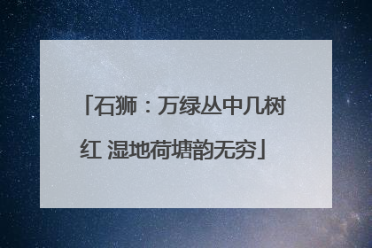 石狮：万绿丛中几树红 湿地荷塘韵无穷