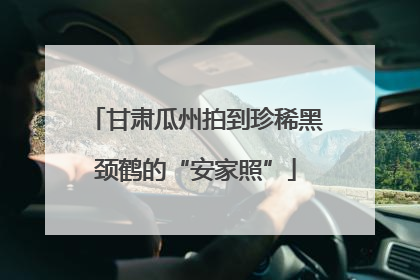 甘肃瓜州拍到珍稀黑颈鹤的“安家照”