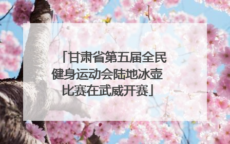 甘肃省第五届全民健身运动会陆地冰壶比赛在武威开赛