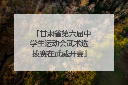 甘肃省第六届中学生运动会武术选拔赛在武威开赛