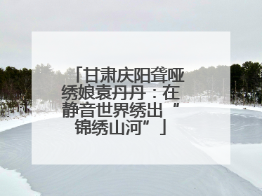 甘肃庆阳聋哑绣娘袁丹丹：在静音世界绣出“锦绣山河”