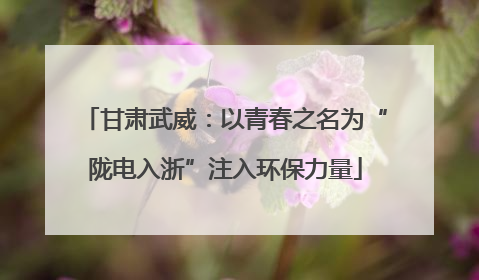 甘肃武威：以青春之名为“陇电入浙”注入环保力量