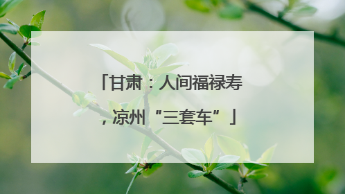 甘肃：人间福禄寿，凉州“三套车”