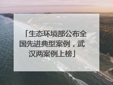 生态环境部公布全国先进典型案例，武汉两案例上榜