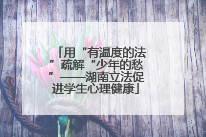 用“有温度的法”疏解“少年的愁”——湖南立法促进学生心理健康