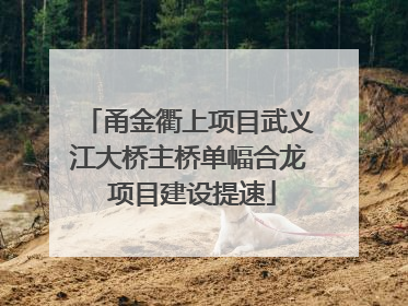 甬金衢上项目武义江大桥主桥单幅合龙 项目建设提速