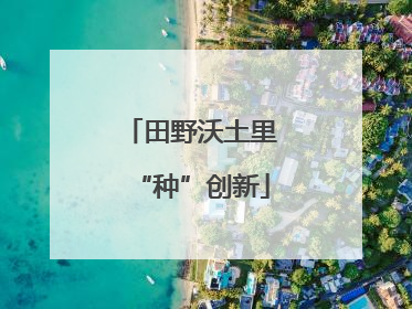 田野沃土里“种”创新