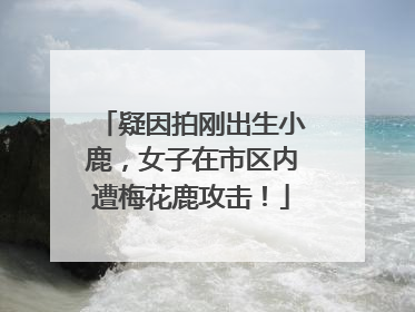 疑因拍刚出生小鹿，女子在市区内遭梅花鹿攻击！
