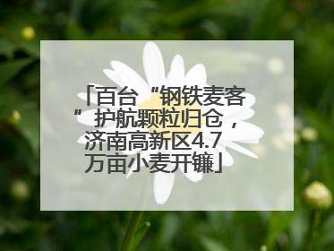 百台“钢铁麦客”护航颗粒归仓，济南高新区4.7万亩小麦开镰