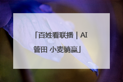百姓看联播｜AI管田 小麦躺赢