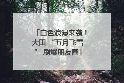 白色浪漫来袭！大田 “五月飞雪” 刷爆朋友圈