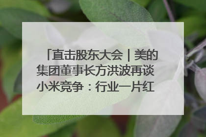 直击股东大会｜美的集团董事长方洪波再谈小米竞争：行业一片红海，打法已固定，无论谁胜都是消耗战