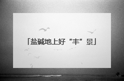 盐碱地上好“丰”景