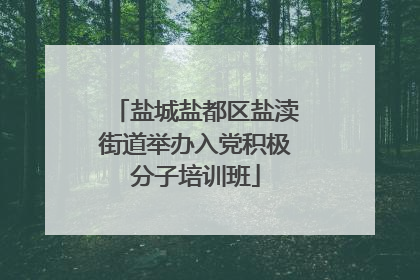 盐城盐都区盐渎街道举办入党积极分子培训班