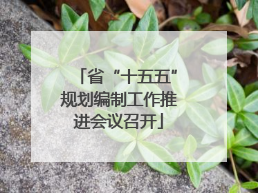 省“十五五”规划编制工作推进会议召开