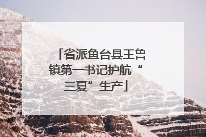 省派鱼台县王鲁镇第一书记护航“三夏”生产