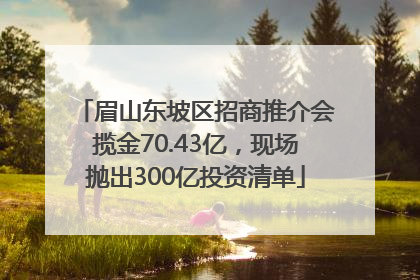眉山东坡区招商推介会揽金70.43亿，现场抛出300亿投资清单