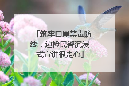 筑牢口岸禁毒防线，边检民警沉浸式宣讲很走心