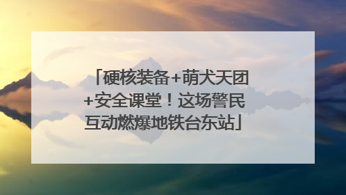 硬核装备+萌犬天团+安全课堂！这场警民互动燃爆地铁台东站