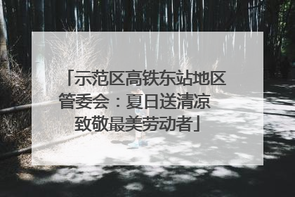 示范区高铁东站地区管委会：夏日送清凉 致敬最美劳动者