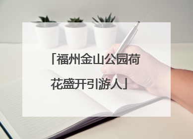 福州金山公园荷花盛开引游人