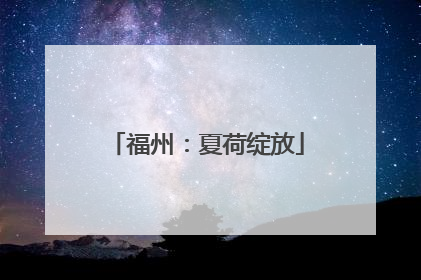 福州：夏荷绽放