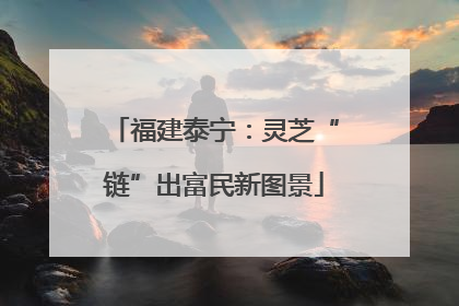 福建泰宁：灵芝“链”出富民新图景