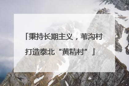 秉持长期主义，苇沟村打造泰北“黄精村”
